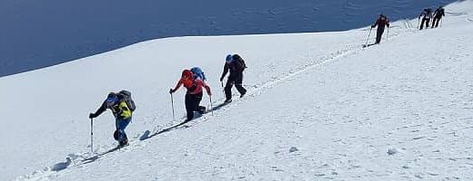 Fjellski: Hvilken type skal du velge? (kjøpeguide) – illustrasjon