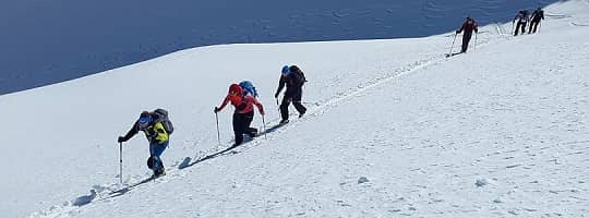 Fjellski: Hvilken type skal du velge? (kjøpeguide) – illustrasjon