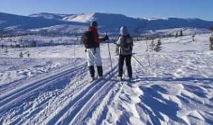 Langrennski: Hvilken type skal du velge? (kj&oslash;peguide) &ndash; illustrasjon 1