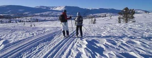 Langrennski: Hvilken type skal du velge? (kjøpeguide) – illustrasjon
